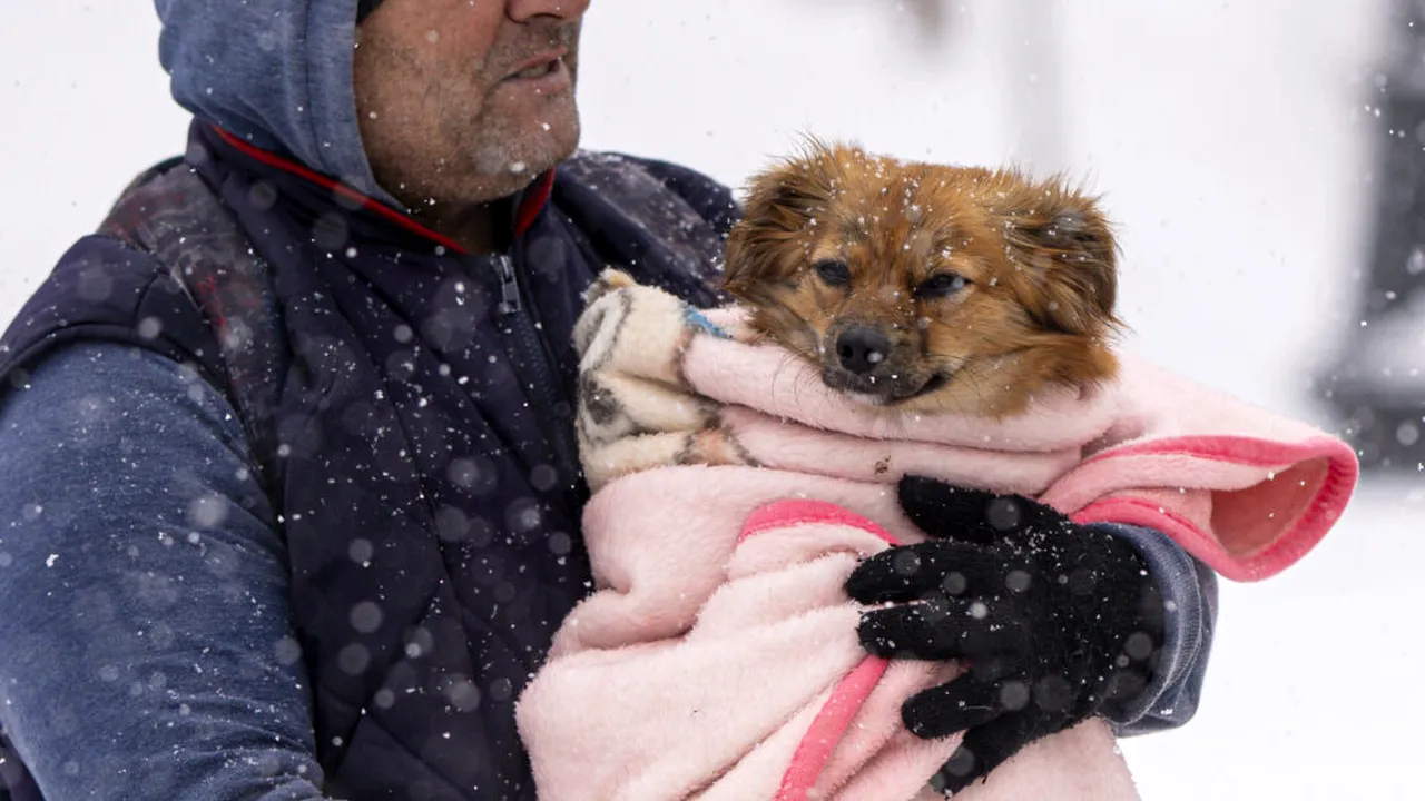 Ger în toată România. Prognoza ANM până în februarie