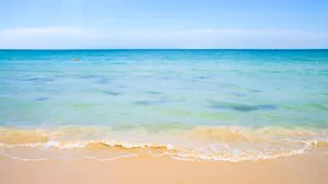 Plajele de pe Litoralul Mării Negre au fost curăţate şi sunt pregătite pentru minivacanţa de Paşte