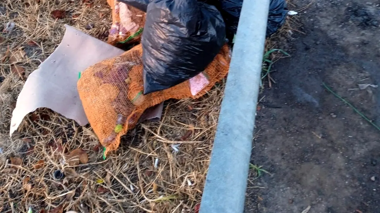 Ceapă, cartofi, foi de varză. Gunoi lăsat de români pe marginea drumurilor