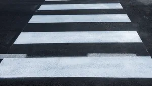 INEDIT: Trecere de pietoni cu motive tradiţionale va amenajată la Botoşani