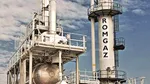 Bursă. Romgaz intră pe segmentul de furnizare gaze către clienţii casnici şi non-casnici. Ministrul Energiei: Prefer să depindă alţii de noi decât să depindem noi de alţii