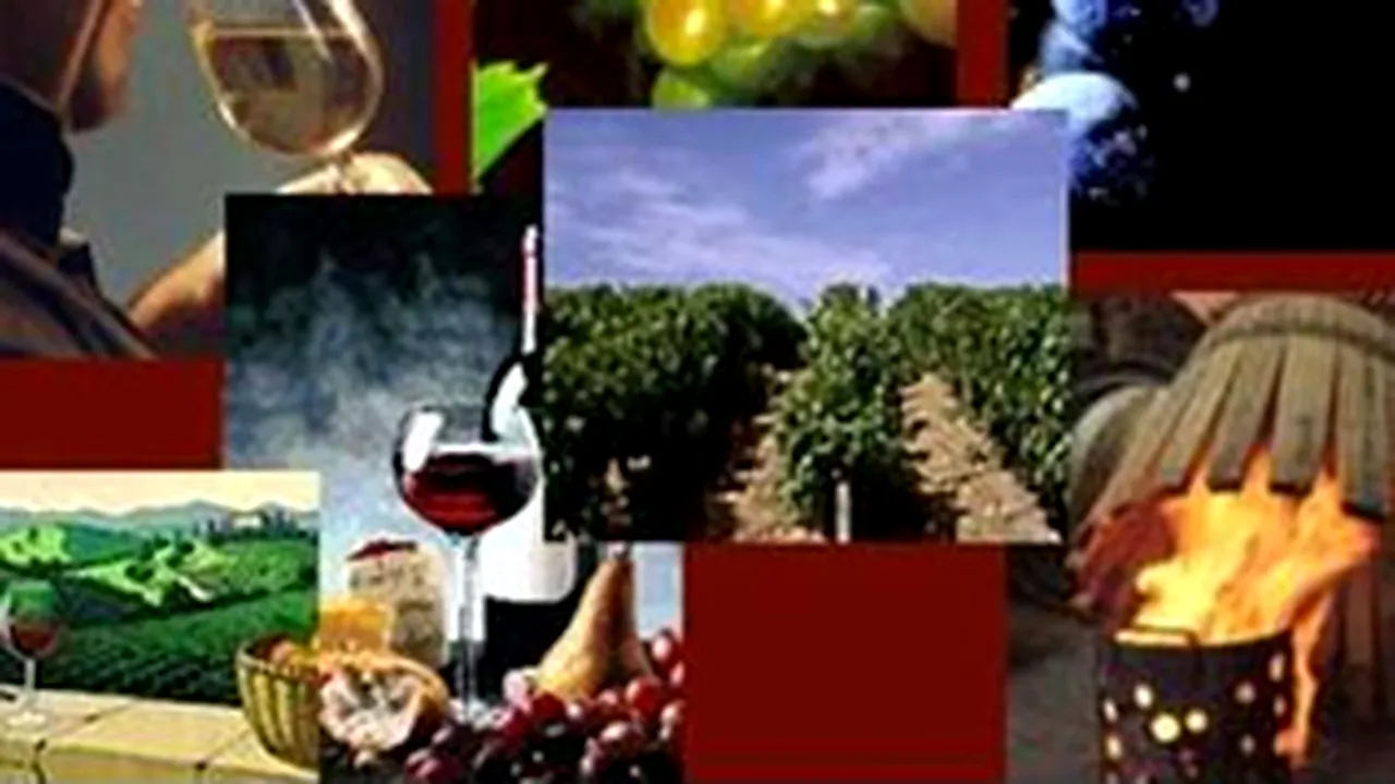 Romania’s First 4-Mo Wine Imports, More Than Double Vs. Exports
