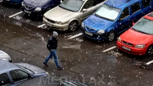 Ninsoare în Bucureşti: Peste 130 de copaci doborâţi de vânt, 65 de maşini avariate şi peste 1.100 de solicitări ale Ambulanţei, în ultimele 24 de ore