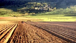 Prima intabulare gratuită, depusă din nou ca iniţiativă legislativă de către liderii PDL şi PNL