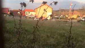 VIDEO | Asistentă de ATI din Sibiu, jignită şi alungată de vecini pentru că îngrijeşte bolnavi de COVID-19: ”Au privit-o ca pe un om de cea mai joasă speţă. Greşit! Mama mea e un erou”