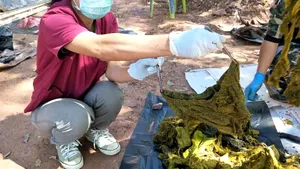 Descoperirea şocantă a specialiştilor, după ce au făcut autopsia unei căprioare. Ce au găsit în stomacul animalului