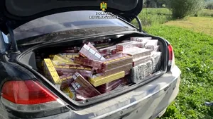 Poliţist de frontieră din Timiş, lovit de un bărbat urmărit pentru trafic de ţigări