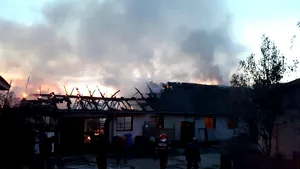 Incendiu puternic la o hală industrială din Hunedoara: Pompierii au intervenit timp de trei ore - VIDEO