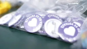 OPINIE | Ce ar trebui să ştie cei care vin la referendum şi cei care îl boicotează