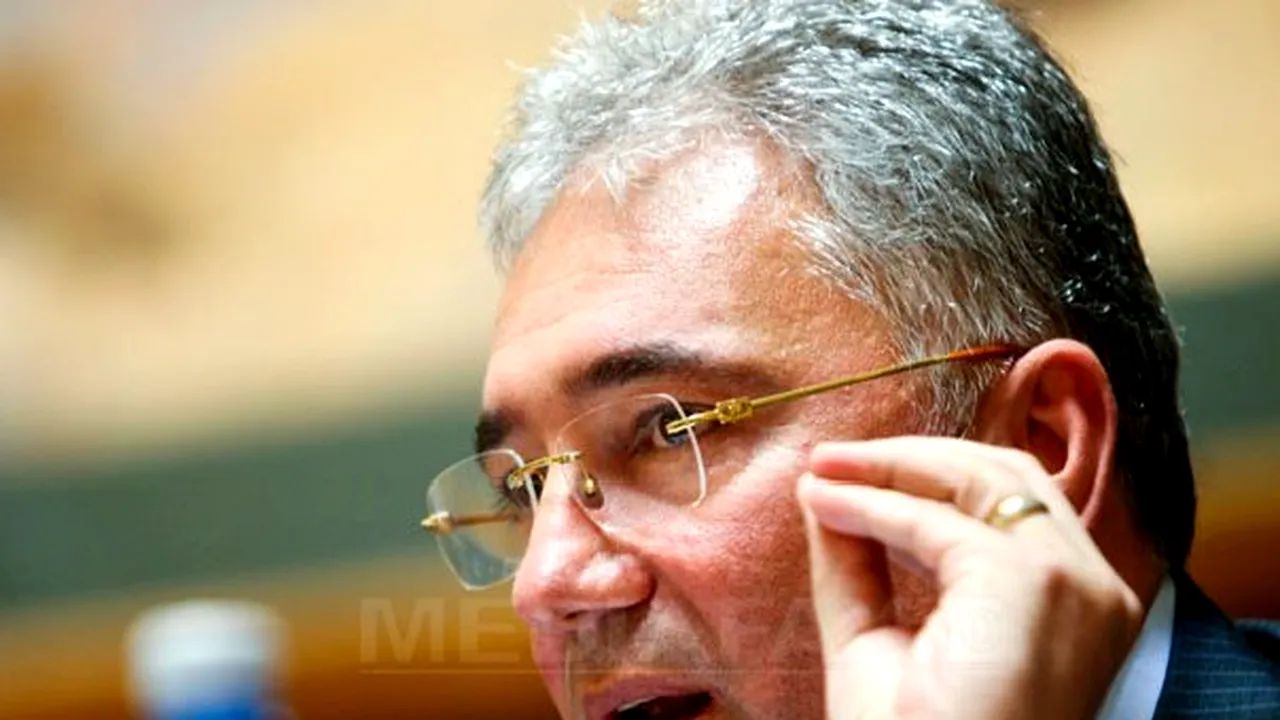 Videanu: Ponta să arate un act semnat de mine care să sprijine alegaţiile despre Hidroelectrica