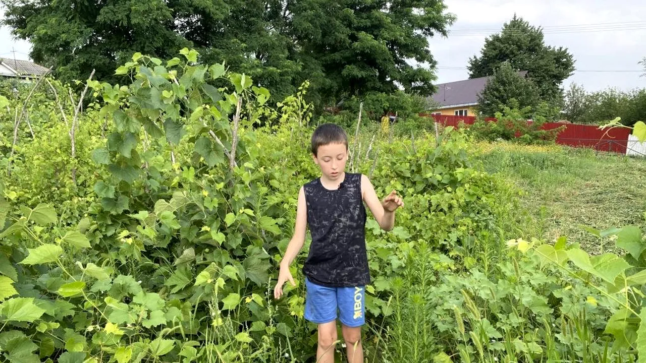 O minte sclipitoare! Povestea lui Cristian, băiatul de 9 ani care a învăţat singur engleza