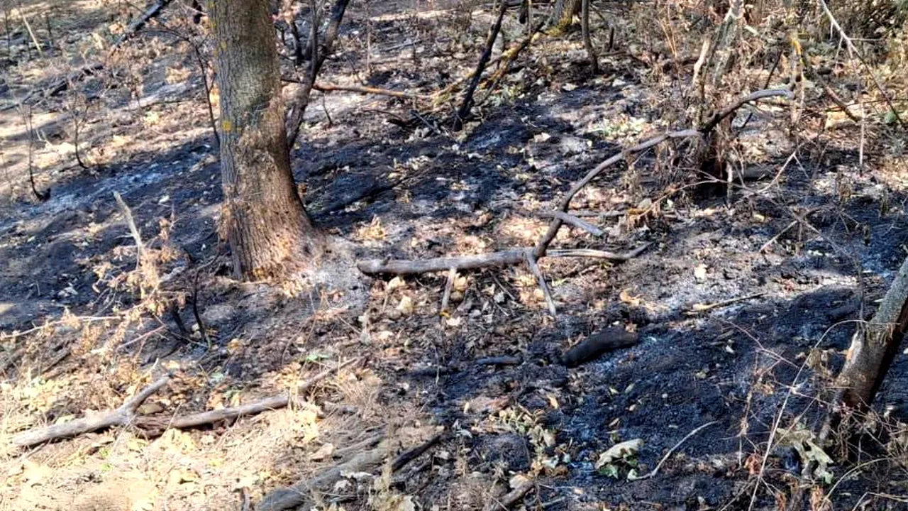Incendiul subteran care nu se stinge. Autoritățile din Arad pregătesc o soluție neobișnuită