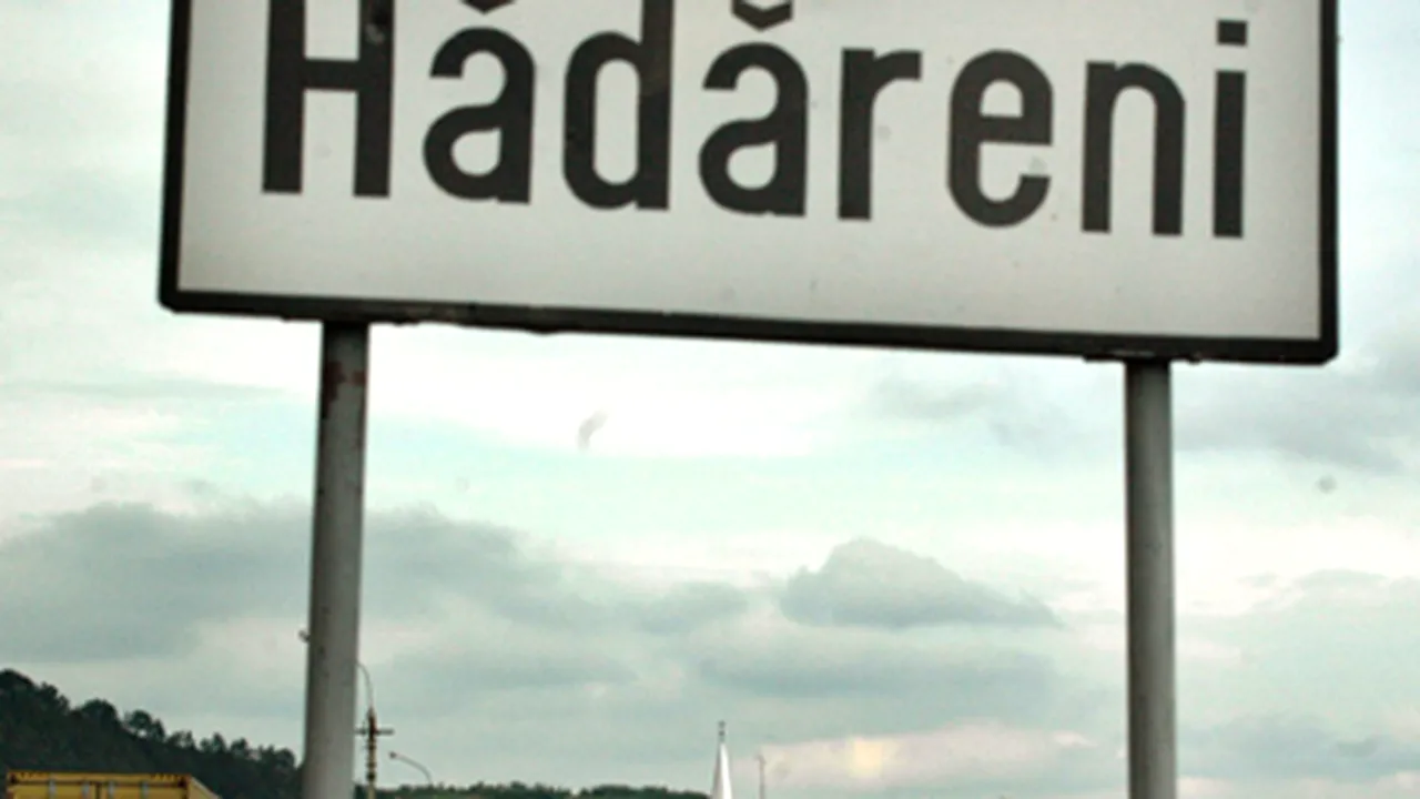 Istvan Haller de la CNCD, în greva foamei