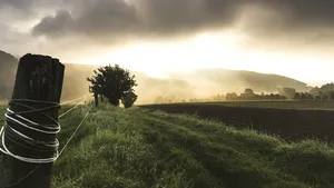 Două ferme au fost închise după ce mai multe animale au fost depistate pozitiv cu noul coronavirus