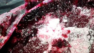 Captură record de cocaină în portul Constanţa. Drogurile erau ascunse în fructe congelate