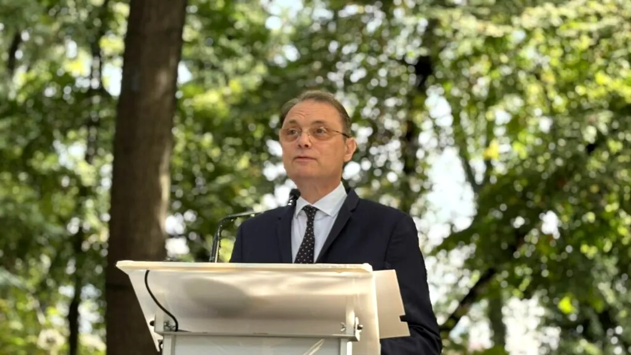 Who will join Luca Niculescu’s government