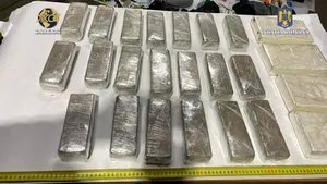 Cantităţi mari de heroină şi cocaină aduse de un albanez în România