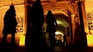 Tapet din hârtie unic în Europa de la Muzeul Brukenthal din Sibiu, în pericol din cauza degradării