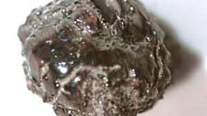 Diamant de 2 carate descoperit în parcul național din Arkansas va fi folosit pentru inel de logodnă