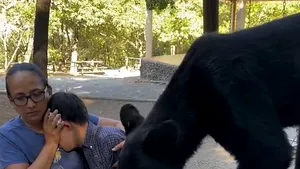 La picnic cu ursul. O familie din Mexic care sărbătorea aniversarea fiului cu sindrom Down, vizitată de un musafir nepoftit care le-a înfulecat toată mâncarea