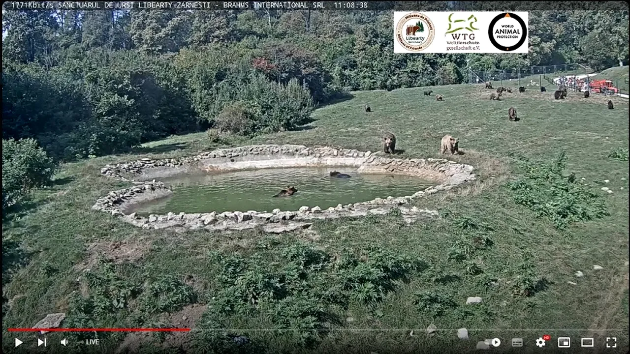 Cum să faci o transmisie live folosind camere IP de la Axis Communications