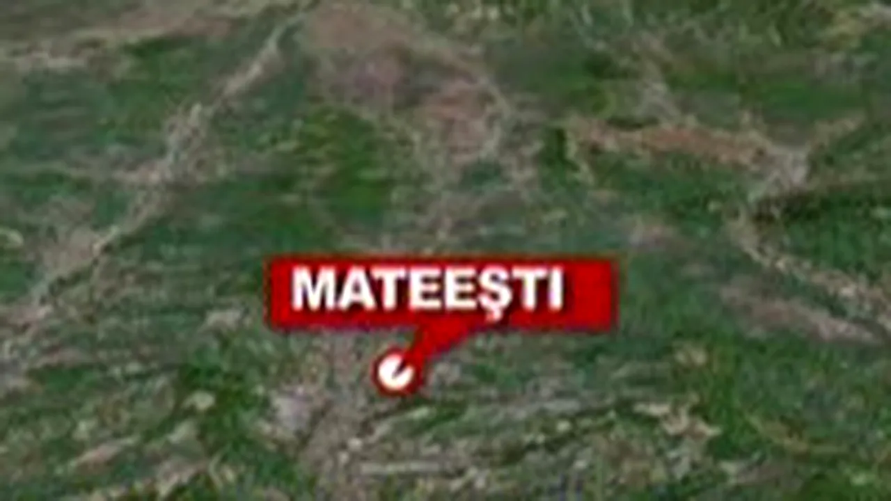 Alunecări de teren în Vâlcea, patru familii au fost evacuate