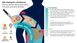 Un nou vaccin ar putea salva milioane de vieţi de la malarie. Numai în 2022 s-au înregistrat peste 600,000 de decese 