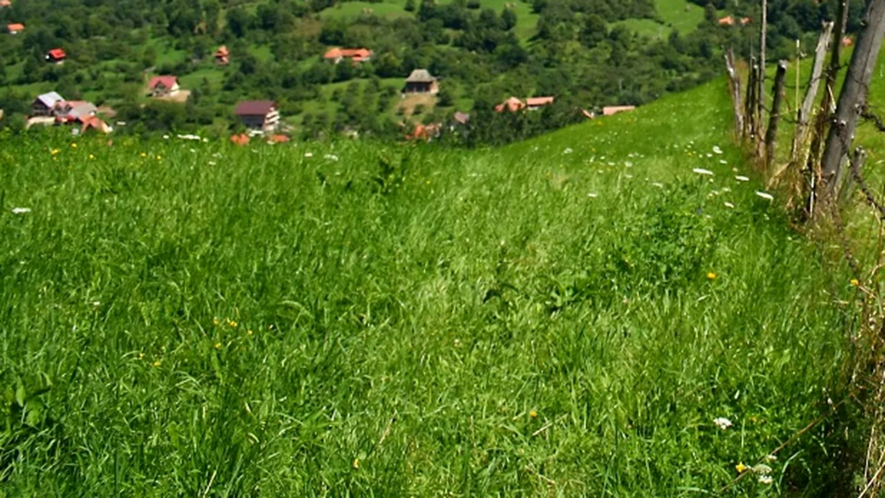 Satul Nadăş revine locuitorilor săi după 11 ani de procese