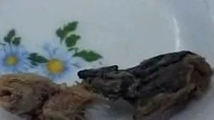 Bistriţa: Şoarece mort, descoperit într-o sticlă de bere