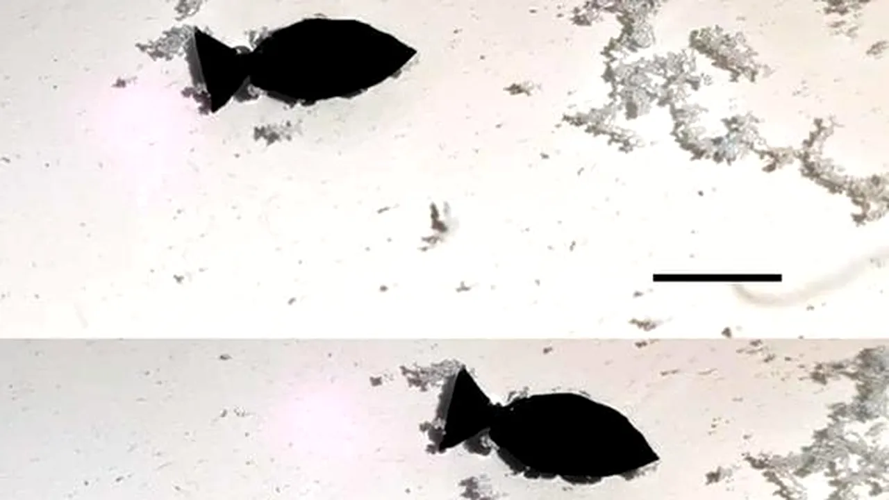 Oamenii de ştiinţă au creat un robot-peşte care este programat să elimine microplasticele din mări şi oceane