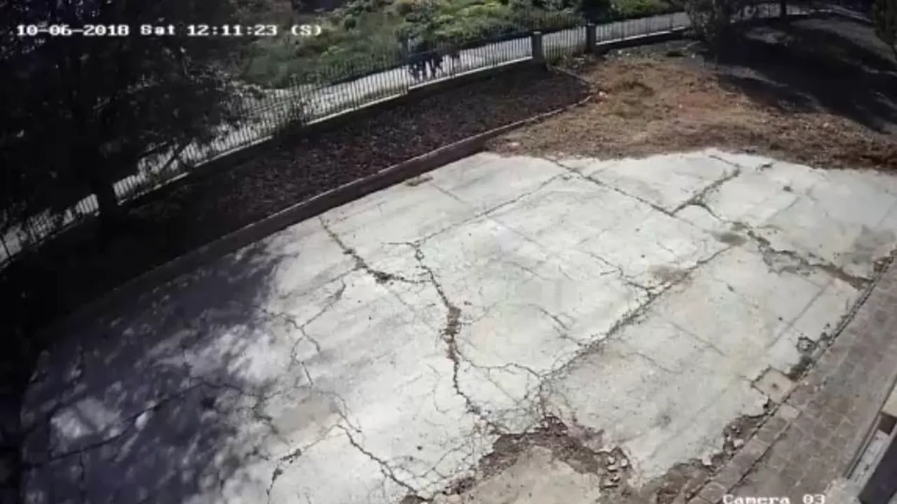 Autorităţile bulgare au difuzat imagini care îl surprind pe asasinul jurnalistei Victoria Marinova | VIDEO