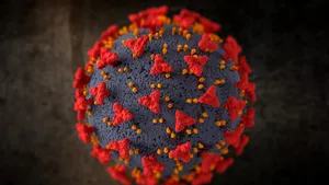 Cinci luni de filmări într-o peșteră au scos la iveală cât de aproape sunt oamenii de virusul Marburg