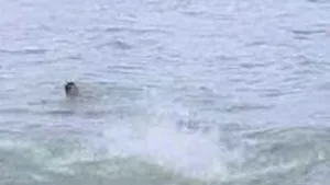 Corpul tânărului care s-a înecat vineri, în Eforie Nord, scos la suprafaţă (Video)
