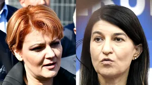 Scandal în Comisia pentru Muncă | Olguţa Vasilescu, despre Violeta Alexandru: Ne ia la mişto / Ministrul Muncii: Aţi sărit calul