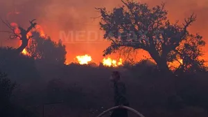 VIDEO | Incendii de vegetaţie de amploare în California: Mii de persoane, evacuate. Opt clădiri au fost distruse de flăcări 
