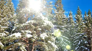 Dezvoltatorul proiectului Silver Mountain, în insolvenţă. Administrator judiciar este Euro Insol