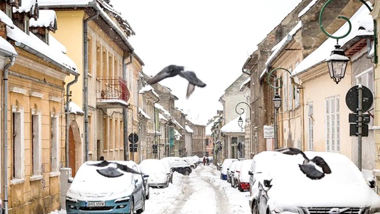 Cum va fi VREMEA în următoarele două săptămâni. Prognoza meteo până pe 25 ianuarie, pentru fiecare regiune a ţării