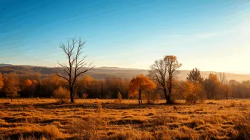 METEO Prognoza ANM până pe 17 noiembrie: Mai cald decât ar trebui și ploi puține