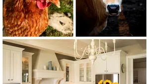 Tombola vaccinării. În ce ţări, persoanele vaccinate pot primi găini, vaci sau apartamente?