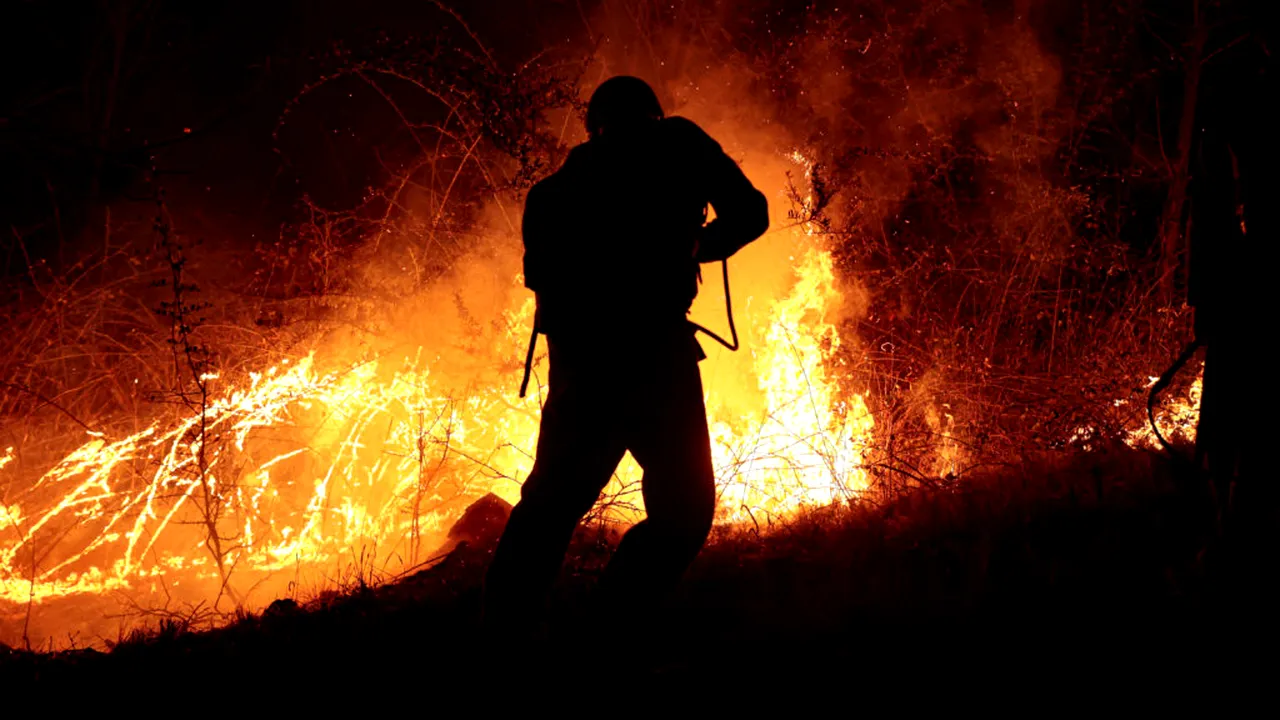 Incendii de vegetație în șase județe. Peste 500 de hectare sunt afectate