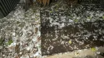 Vreme severă în România. Sunt așteptate vijelii, grindină și ploi torențiale