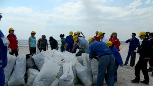 300 de tone de deşeuri, oprite la intrarea în ţară. Ministrul Mediului: ”În alte ţări depozitarea la groapă e 80euro/tonă. În România nu avem niciun cost”