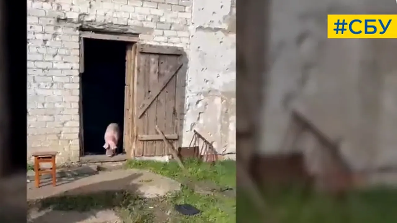 Au trăit ca animalele: ocupanţii ruşi au locuit într-o coteţ cu porci