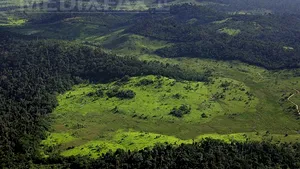 Diversitatea lumii vii, estimată la 8,7 milioane de specii. Aproape 20.000 sunt pe cale de dispariţie