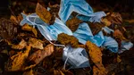 Cercetătorii au descoperit de ce gripa și COVID-19 afectează atât de grav persoanele în vârstă