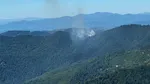 Incendiu de proporții în Masivul Țibleș. Intervenție aeriană și terestră în zonă greu accesibilă
