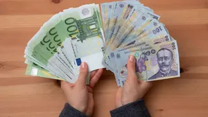 Comisia Europeană: România nu îndeplineşte niciunul dintre cele patru criterii economice pentru adoptarea monedei EURO
