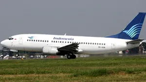 Un avion a lovit un viţel pe un aeroport din Indonezia
