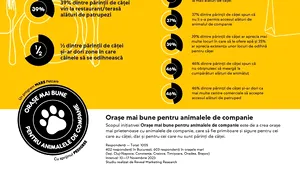Studiu Mars: Oraşe mai bune pentru animalele de companie