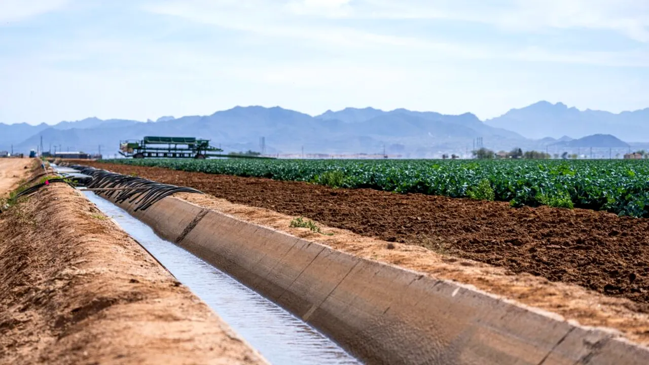 Seceta și căldura lovesc agricultura Europei. Comisia Europeană avertizează asupra culturilor și furajelor, inclusiv în România